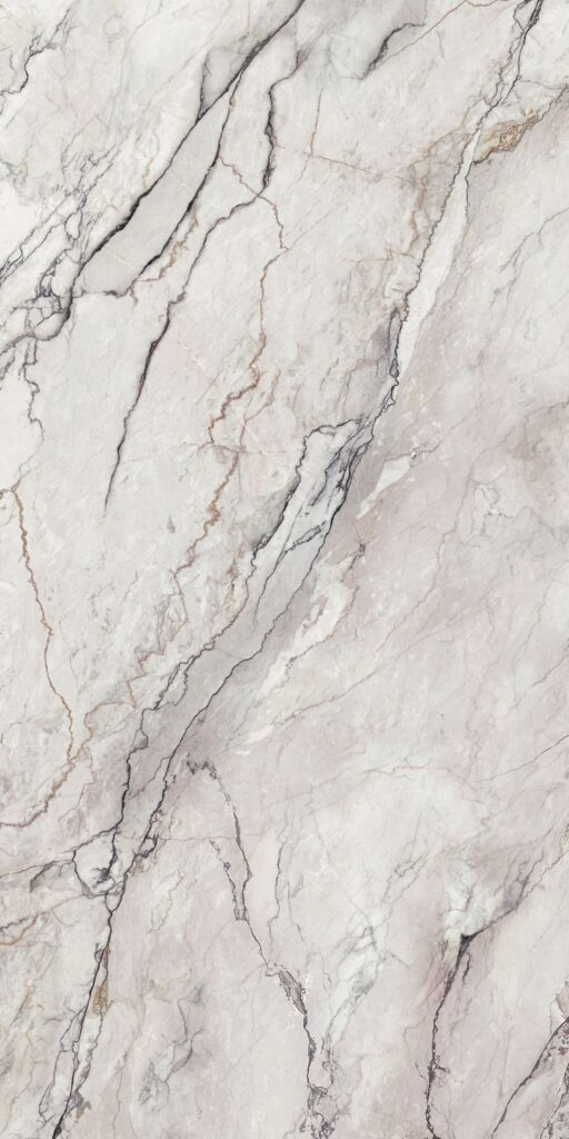 Terre di Bolgheri - slab design 2